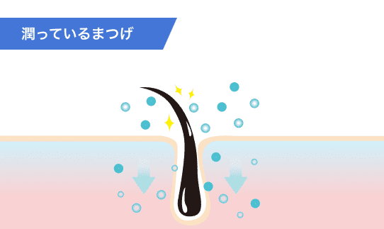 潤っているまつ毛