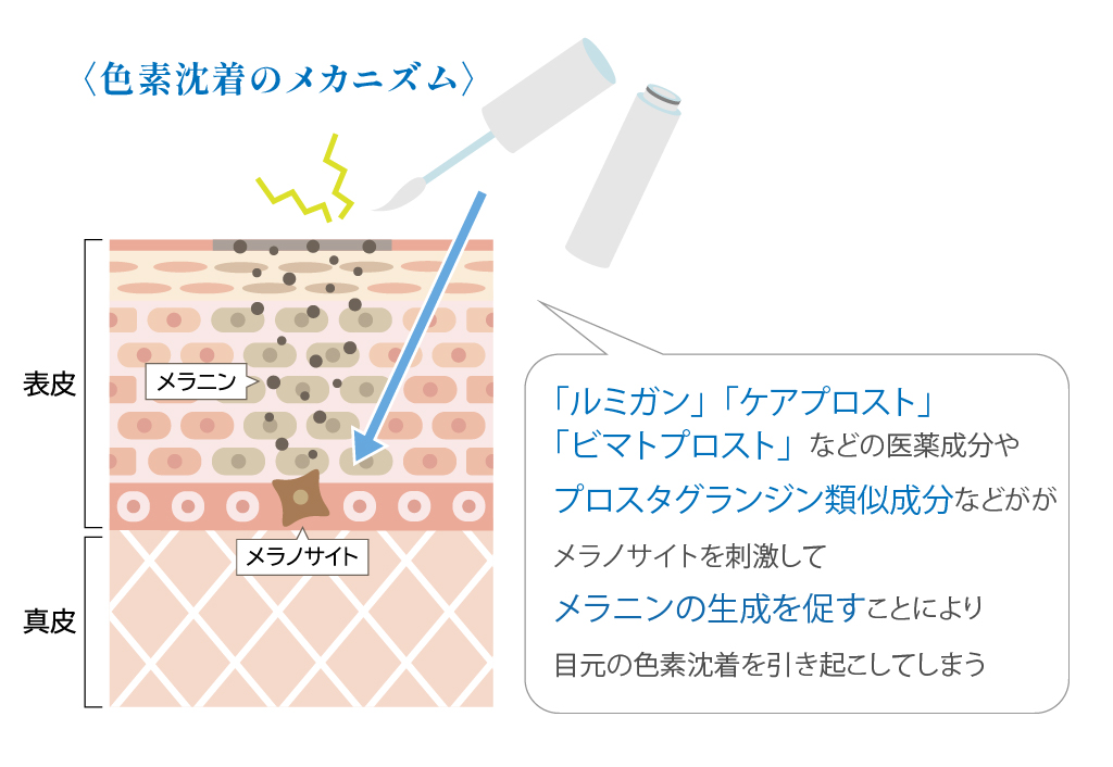 色素沈着を引き越すまつげ美容液の科学的解説